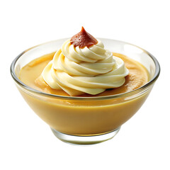 Creamy Caramel Pudding Recipe