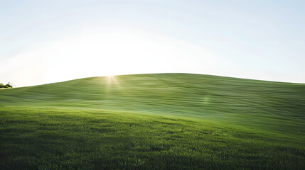 Obraz premium Rolling Green Hillside At Sunrise Vibrant Tones