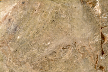 Mineral Muscovite, Varient Gilbertite, Penhale Pit, Carthew, St.Austell, Cornwall, England