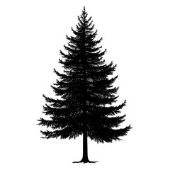 illustrations of various trees, leaves, grasses, and botanical elements on white background.