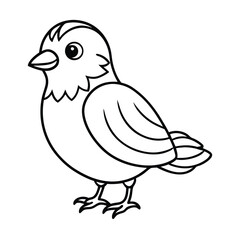 Fototapeta premium vector illustration of a bird line art 