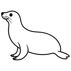 illustration of a seal