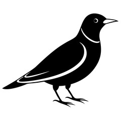 Obraz premium vector illustration of a bird