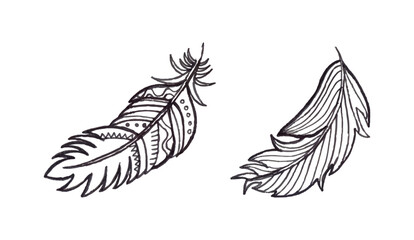 Set watercolor hand drawn leaves and feathers collection