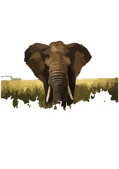 Elephants are the largest land mammals on Earth, renowned for their impressive size, intelligence, and complex social structures. There are three recognized species:​