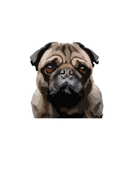 "Pug dogs." Pugs are a small, affectionate dog breed known for their wrinkled faces, curled tails, and friendly disposition