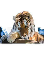 tigers, the largest wild cats in the world, renowned for their strength, beauty, and distinctive orange coats adorned with black stripes. Here's an overview of these magnificent creatures