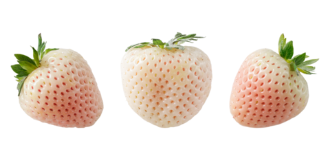 White strawberry or pineberry berries flying isolated on white background.