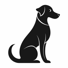 black and white dog