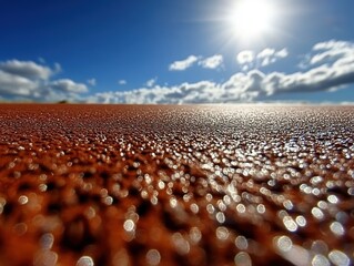 Obraz premium Runner Finishing Sprint on Track Athletic Field Sports Action Bright Day Low Angle View Achievement