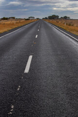 Long straight road through golden grasslands under a moody sky in rural South Australia, evoking solitude and vast horizons