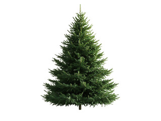 Obraz premium Christmas Tree on png