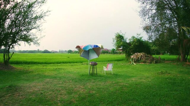 A dramatic beach chair and rice fields