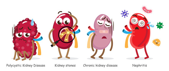 Kidney diseases . Include Polycystic Kidney Disease, Renal stones, Chronic renal failure, Nephritis . Collection of cute medical cartoon characters . Isolated white background . Vector .