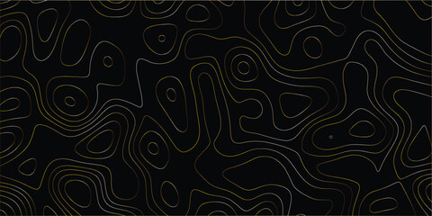 Artistic map-inspired pattern with continuous line contours and elevation feel

