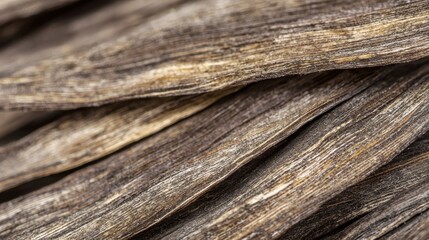 Golden dry grass blades with weathered texture and earthy tones