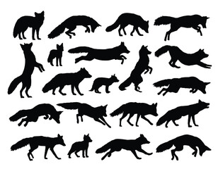The set silhouettes of wild foxes.
