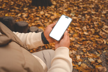 Person holding a smartphone with blank white screen in an autumn park. Hands in beige sweater and fitness band, sitting among fallen yellow leaves and wooden stumps