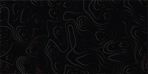 Fototapeta premium Abstract topographic contour pattern with organic flowing lines and modern minimal design