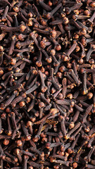 Dried clove buds, aromatic flower buds, syzygium aromaticum