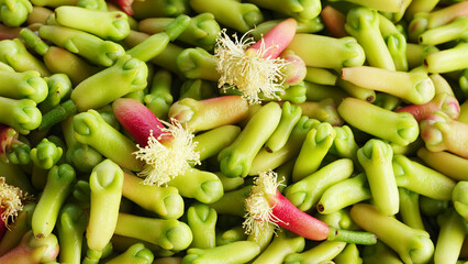 Close-up, fresh clove buds, harvest