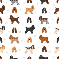 English cocker spaniel show type clipart and seamless pattern. Different poses, coat colors set.  Vector illustration