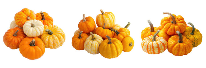 Autumn Harvest Trio of Mini Pumpkin Displays.