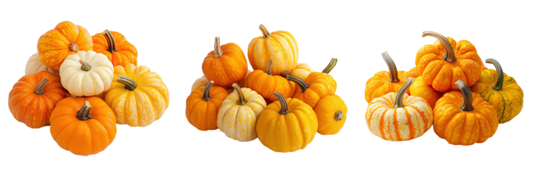 Autumn Harvest Trio of Mini Pumpkin Displays.