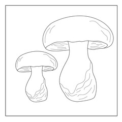 vector illustration of a mushroom