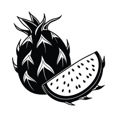 Dragon fruit vector illustration
