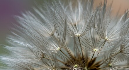 Whispers of Gossamer AI Generated