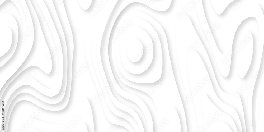 Poster abstract white paper cut background with lines. background of the topographic map. white wave paper 