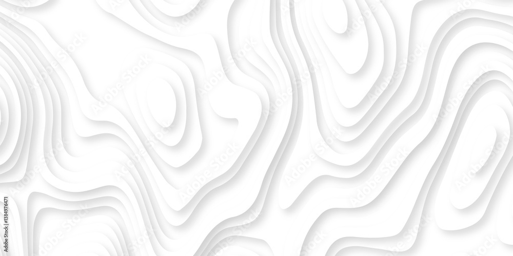 Poster abstract white paper cut background with lines. background of the topographic map. white wave paper 