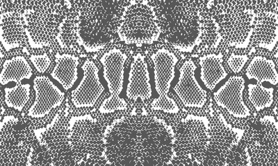 Texture pattern gray white snake crocodile reptile seamless repeat. Amazing hand drawn vector illustration. Print