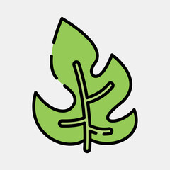 Icon rhaphidophora. Plant leaves elements. Icon in filled line style.