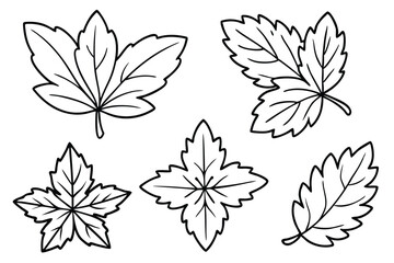 Obraz premium Chrysanthemum Leaf Line Art Simple Drawing for Floral Artwork Design