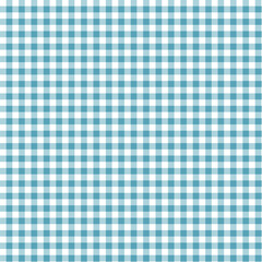 Blue gingham tablecloth with a textured checkered pattern