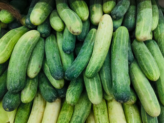 The cucumber or Cucumis sativus is a widely cultivated creeping vine plant in the family Cucurbitaceae that bears cylindrical to spherical fruits, which are used as culinary vegetables. 