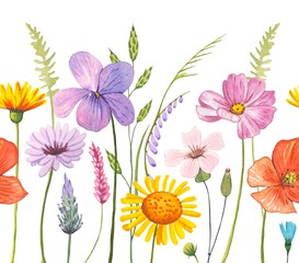 Seamless border with meadow flowers. Watercolor illustration