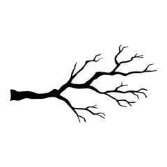 Fototapeta premium dead tree branches