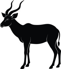 silhouette of a deer