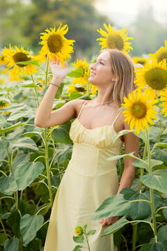 Cute european young model girl posing and having fun in a field full of blooming sun flowers. Showing freedom, innocence and youth