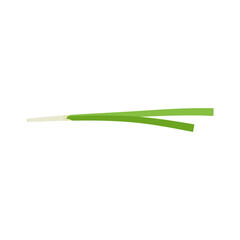 Garlic chives leaf. Healthy vegetarian food. Flat vector illustration.