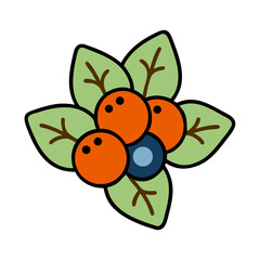 Cartoon Orange and Blue Berries with Green Leaves vector