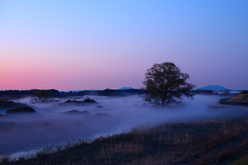Fototapeta premium 宇都宮市 鬼怒川河川敷で発生した雲海