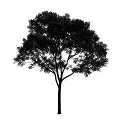 Obraz premium Silhouette of an isolated tree standing out against a Transparent background with detailed branches and leaves, Image tree silhouette isolated on PNG background