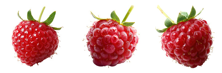 Three ripe raspberries with glistening dew drops.