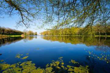 Obraz premium Departmenta park of the Sully-sur-Loire castle