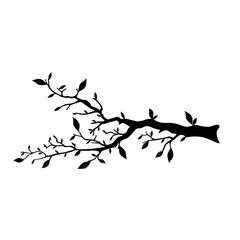 tree branch with leaves silhouette