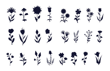 Set design flower silhouettes